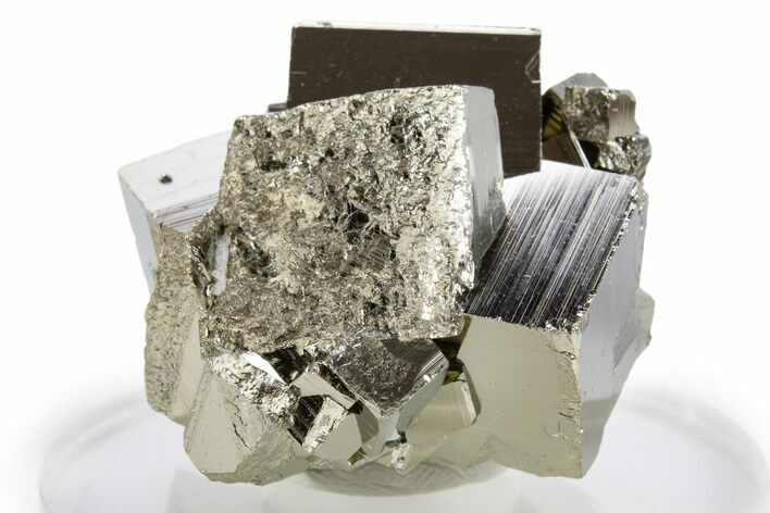 Gleaming Striated Cubic Pyrite Cluster - Peru #341536